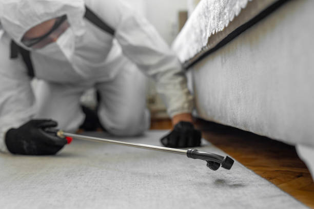 Professional Ant Control technician working in Harris County County, TX